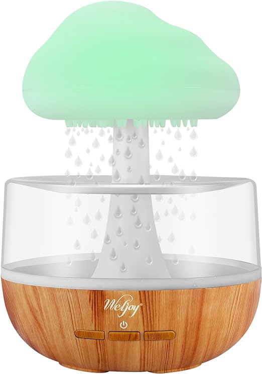 Rain Cloud Humidifier