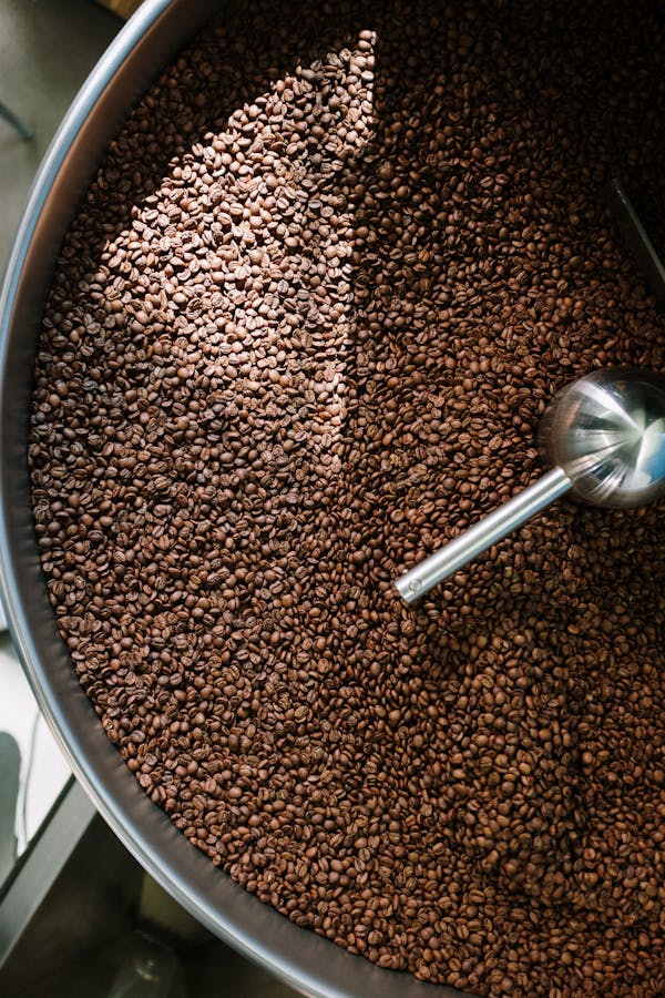 Unraveling the Origins: Where Do Coffee Beans Come From?